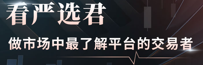 严选君