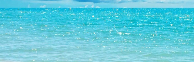 随流木