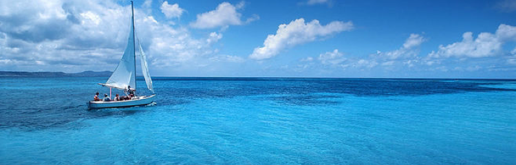 海哥量化