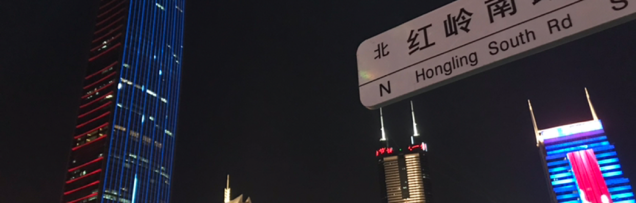 伏击的豹子
