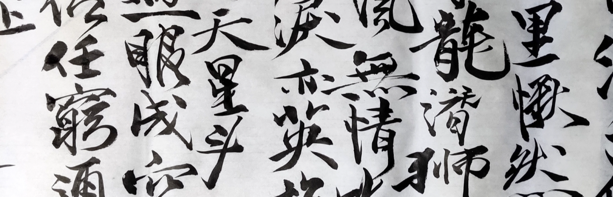 鱼丸粗面-T