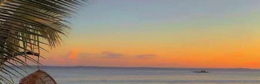 开心一夏