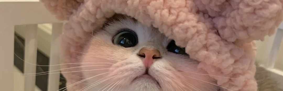 6844683