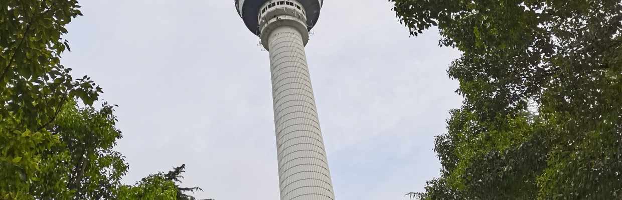 田园小露