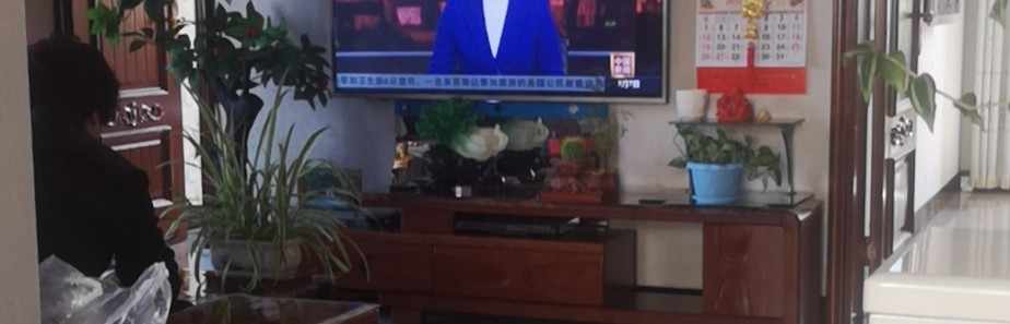 你是鱼儿我是水