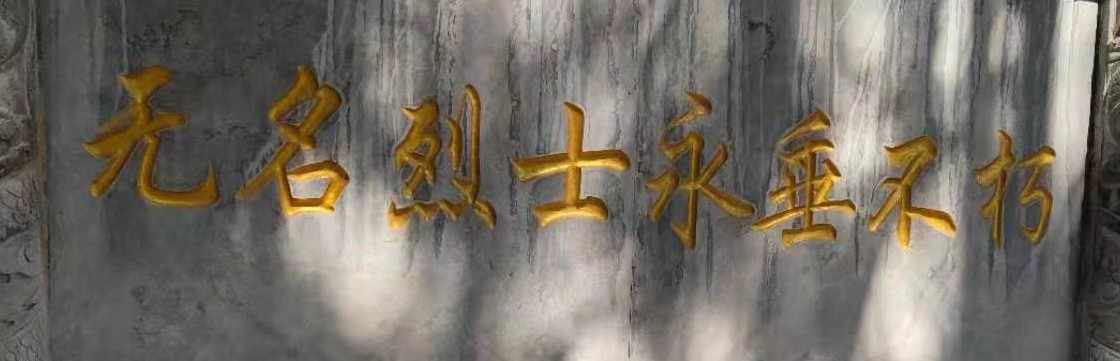 暗黑复仇者