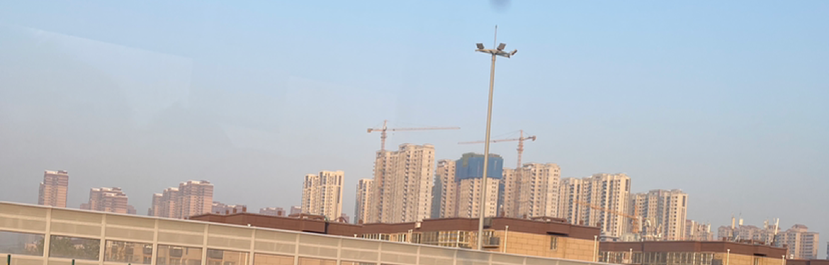 杨跑跑