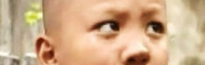 贾三毛