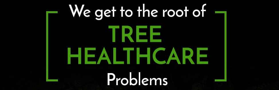 treedoctorusa