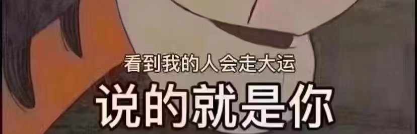 外汇追风少年Leo