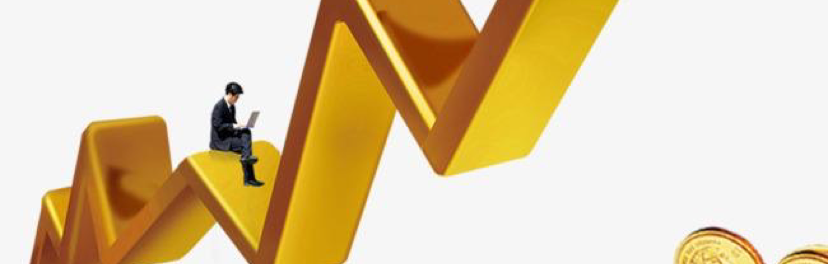 扬帆点金