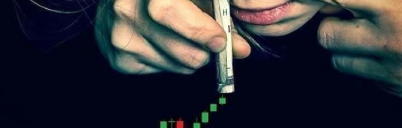 韭菜不菜