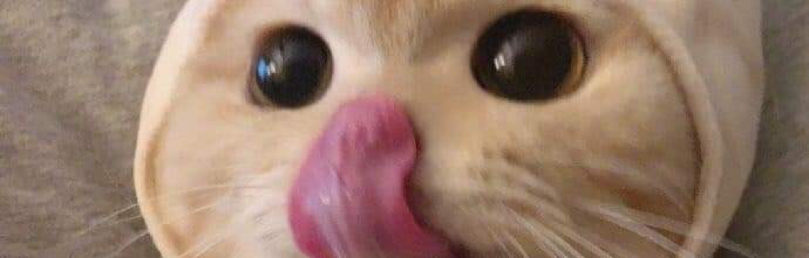 Jack Chou