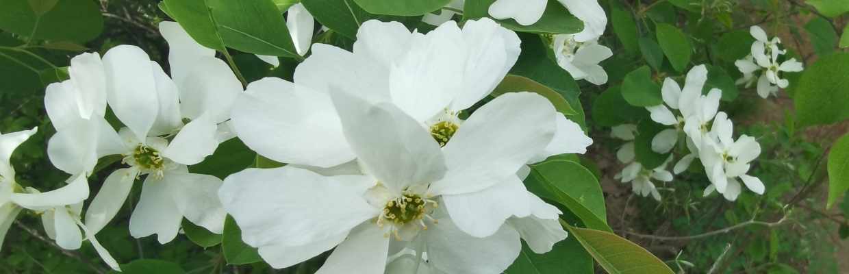 邹老师财经课堂