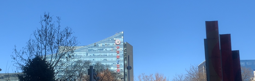 241816