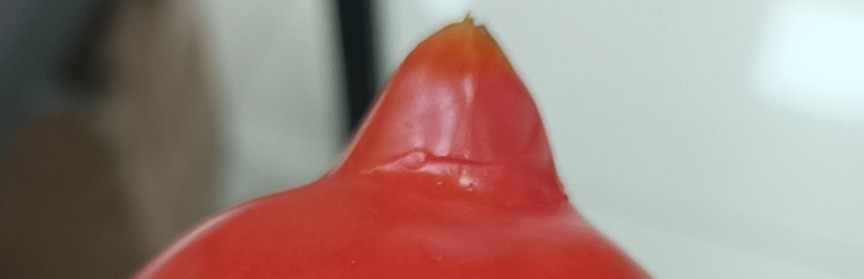 外汇珠穆朗玛