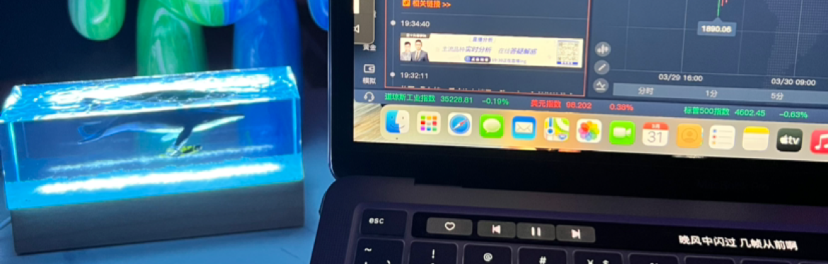 志扬量化7