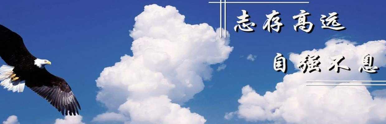苍笙 踏歌