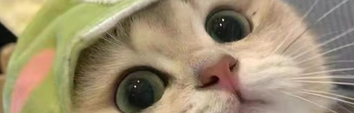 三亚房产