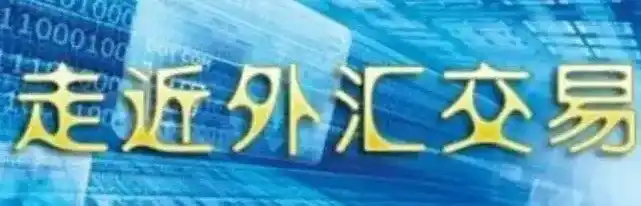 枫林汇