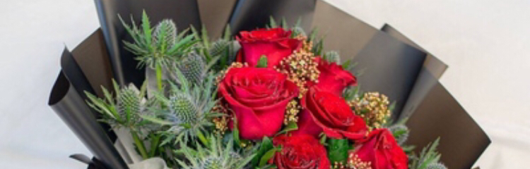 gaddafi659@gmail.vom