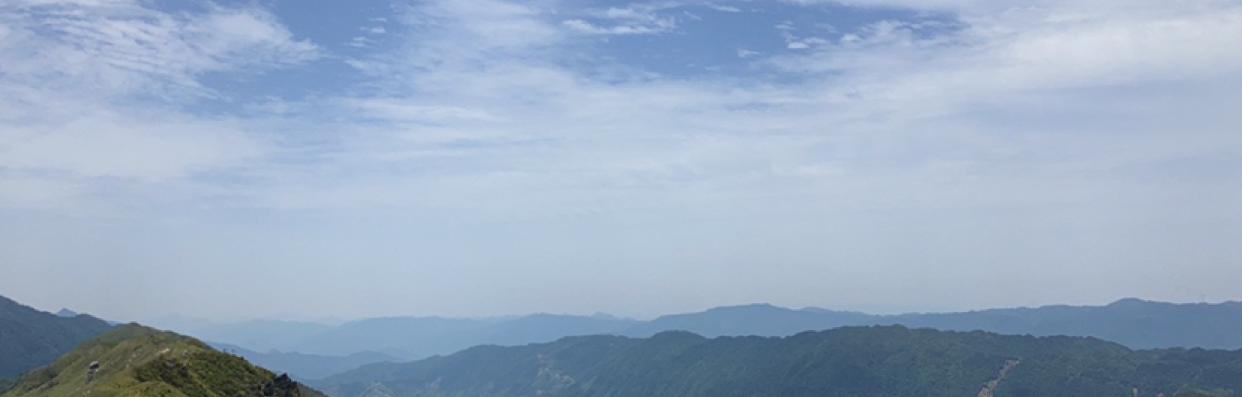 红楼一场梦