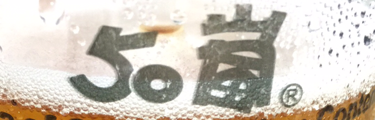 .ks301