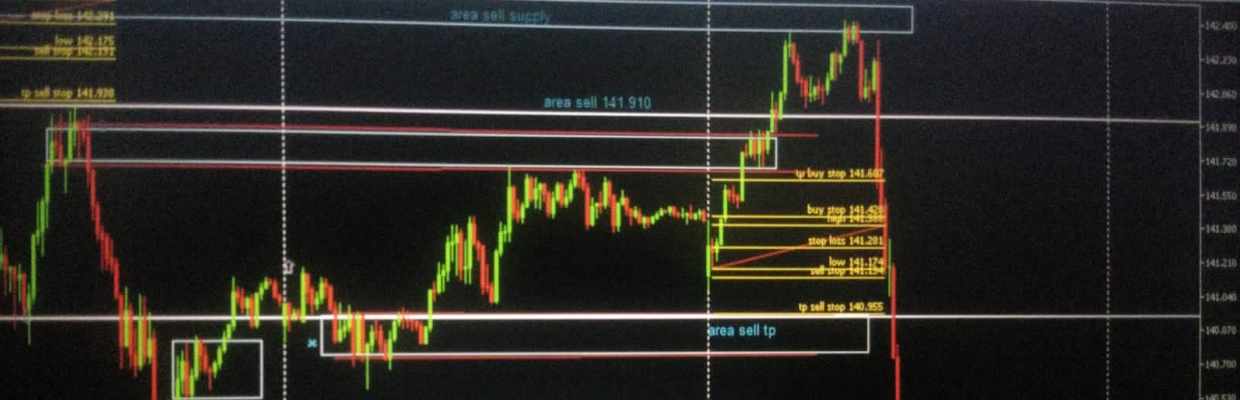 FOREX KING