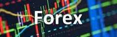 trader pro