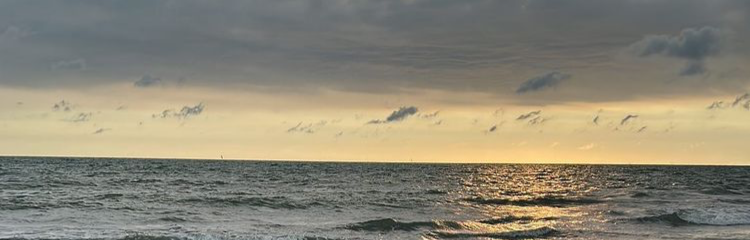 外汇小李