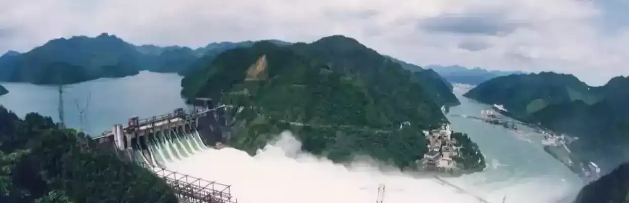 跟单大咖