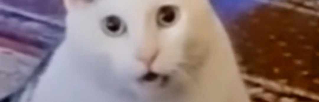 驰骋啊