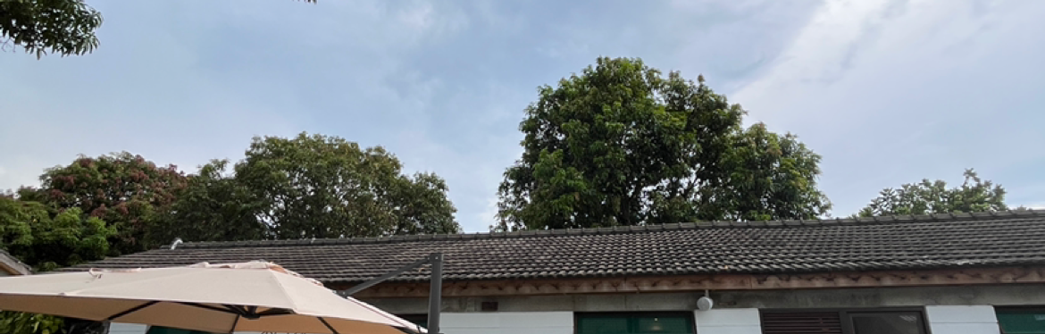 陳大軍