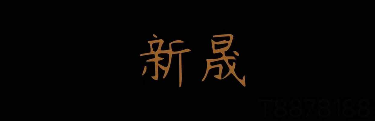 新 晟