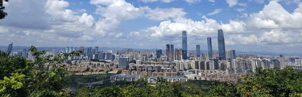 EA交易员 森森