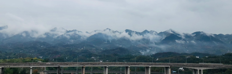 苟且于汇市
