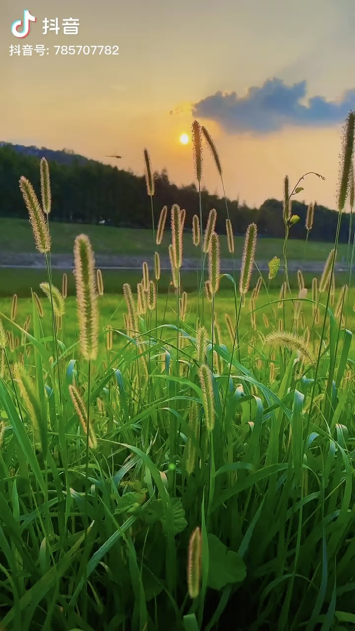 你大爷爷
