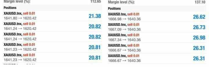 FOREX LUCKY TRADER