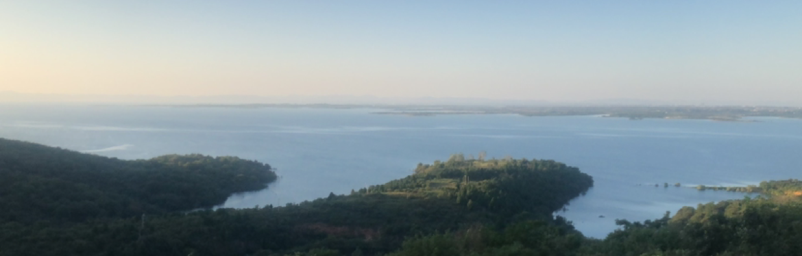 最优解180714