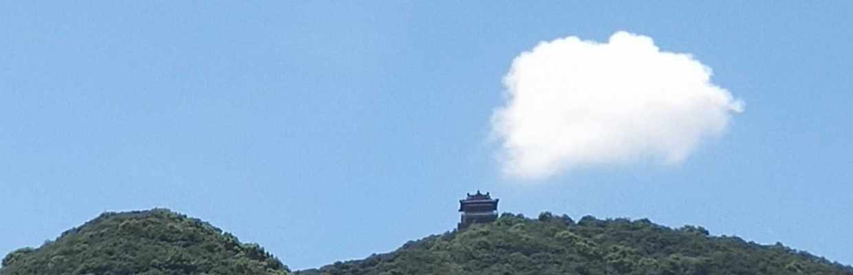 柳上月