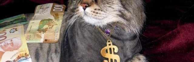 XAUUSD (GOLD) TRADER