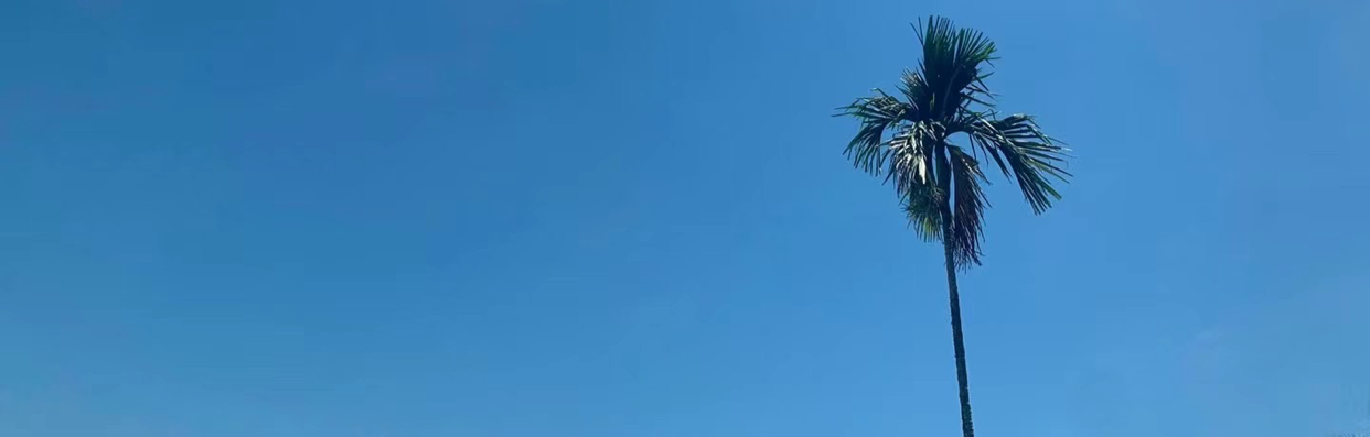 酋長講金
