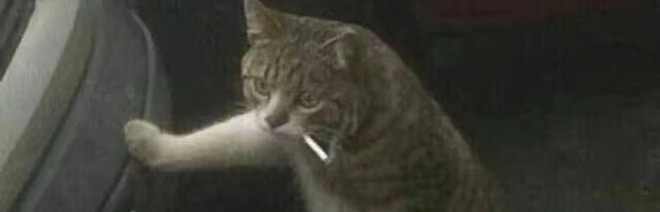 阿健的健