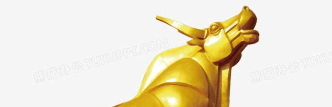 黄金分析杨老师