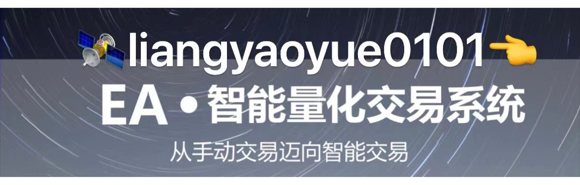 狮子量化交易