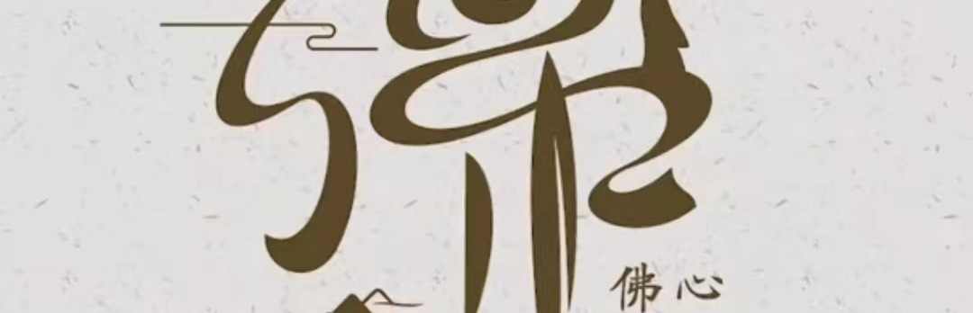 疯狂小杨哥