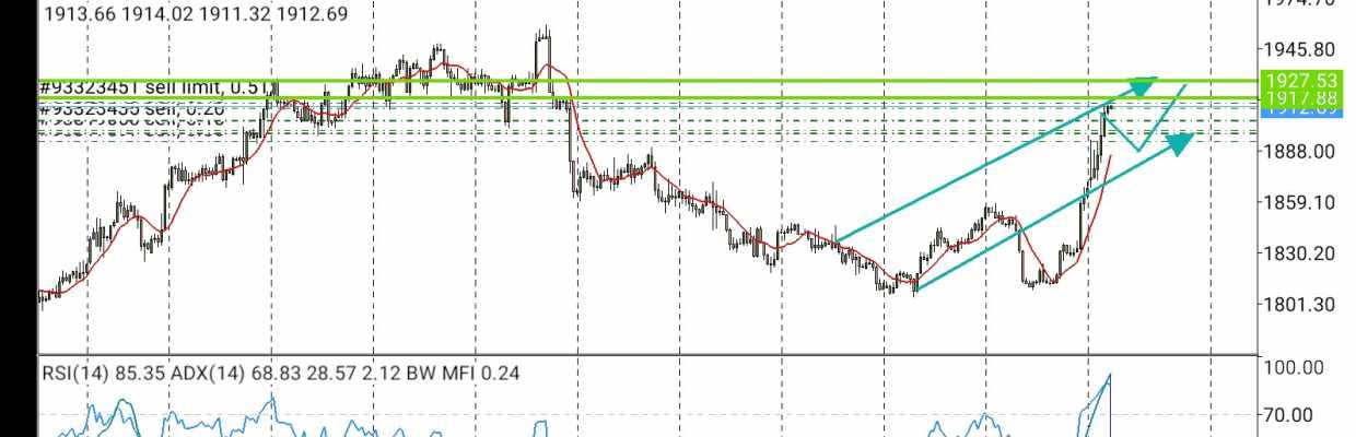 Master of trading