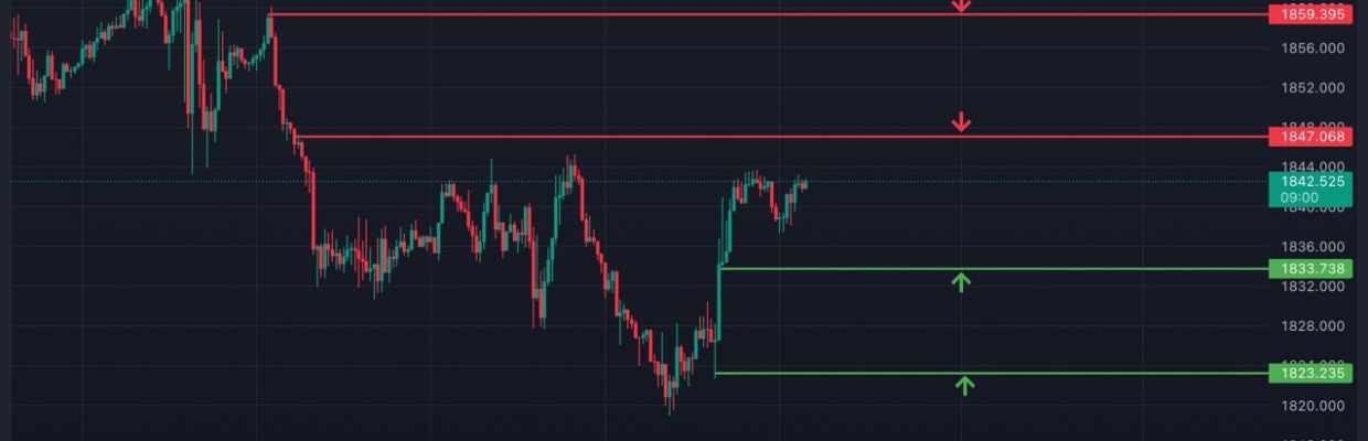 GOLD TRADING MASTER