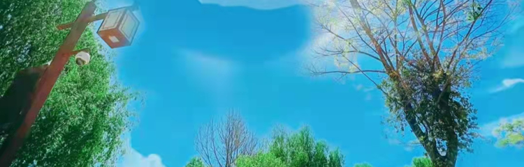 生吃面包片