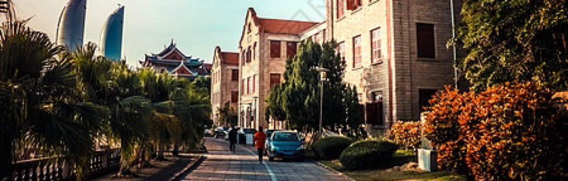 汇市小伟